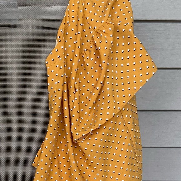 Gently Worn Hilary Radley Cool, Soft, Lightweight Short Sleeve Top w/Polkadots - Picture 8 of 16